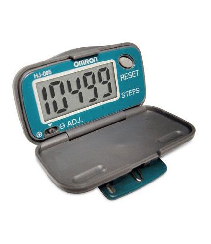 Walking Style Pedometer